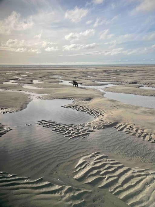 Appartement A 100M De La Plage Neufchâtel-Hardelot Eksteriør bilde